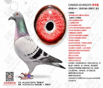 ������ 84����������������˺š�ֱŮ