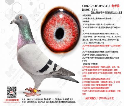 ������ֱ�ӡ���ɽ����������Ĺ��ۺ�121��