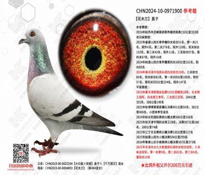 ��ľ��ֱ��