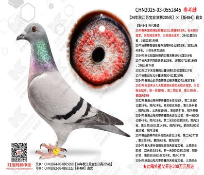 24���ｭ�ձ������205������484ֱŮ