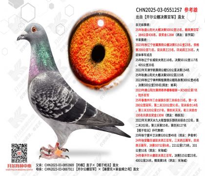 ���Կ�����������Ǿ�ֱŮ