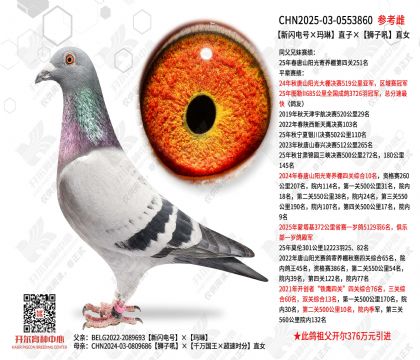 ��������š����ա�ֱ�ӡ�ʨ�Ӻ�ֱŮ