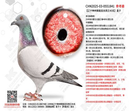 �������ݻԻ�˫�ظ���45��ֱ��