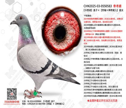 ����ŵֱ�ӡ�������������ݶ���ֱŮ