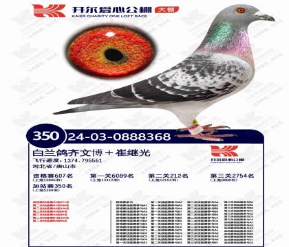 �������Ĺ�������վ������350�����ۣ�