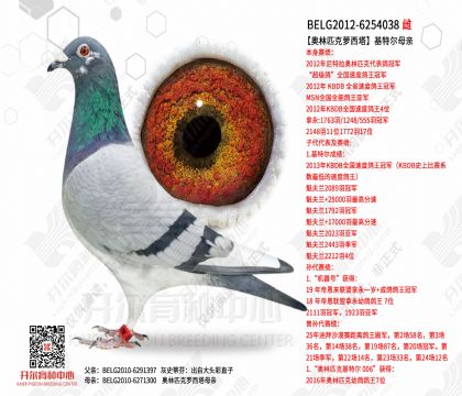BELG2012-6254038
