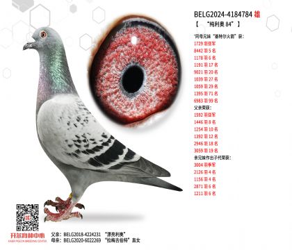 2.����-4184784