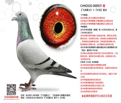 2.����-000937