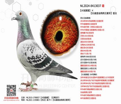 2.����-8413037