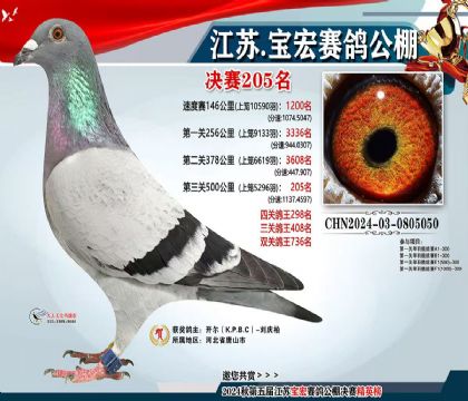 2.����-0805050