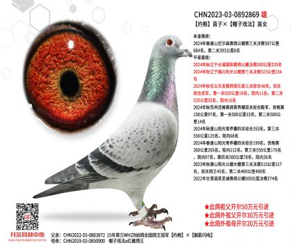 2.����-0892869