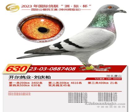 2����-0887408