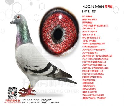 2����-8209064