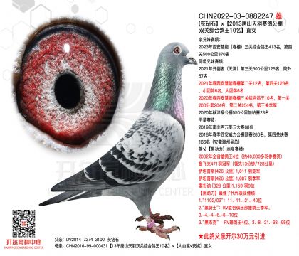 2����-0882247