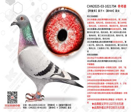 ������ֱ�ӡ���484ֱŮ