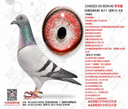 ������ķ�ȷ�ֱ�ӡ���Ŭ������