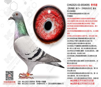 ������ֱ�ӡ�����������ֱŮ