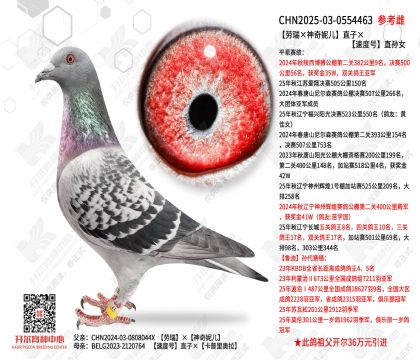 ����������ݶ�ֱ�ӡ��ٶȺ�ֱ��Ů