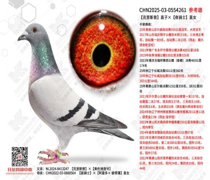 ����˹��ֱ�ӡ�ҹ��ʿֱŮ