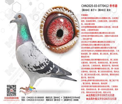 ��484ֱ�ӡ���483ֱŮ