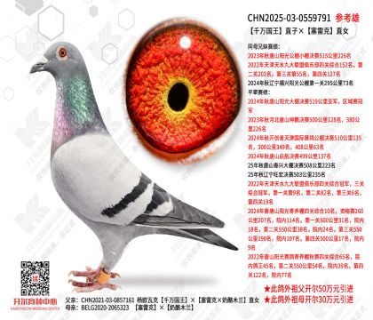 ǧ�����ֱ�ӡ����׿�ֱŮ