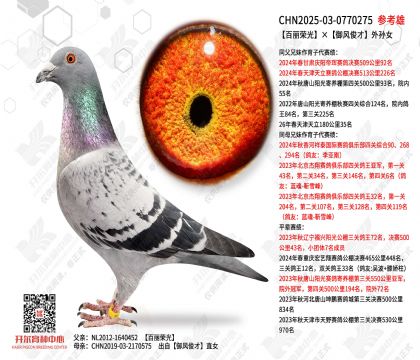 �����ٹ�����翡������Ů