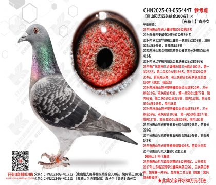 ��ɽ�����Ĺ��ۺ�300����ҹ��ʿֱ��Ů