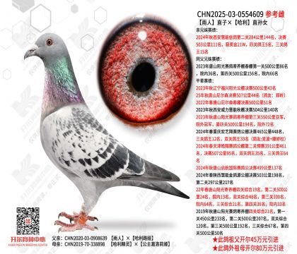 ����ֱ�ӡ�����ֱ��Ů