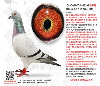 ʨ����ֱ�����ʦ����ֱŮ