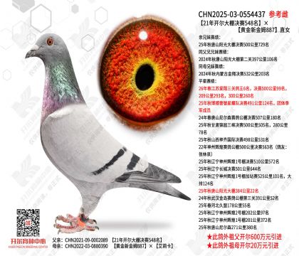 21�꿪���������548�����ƽ��½�ķ887ֱŮ