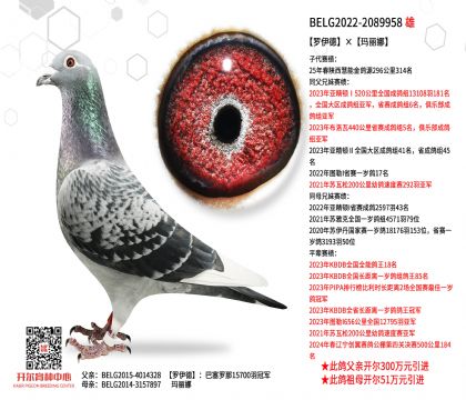 2����2089958