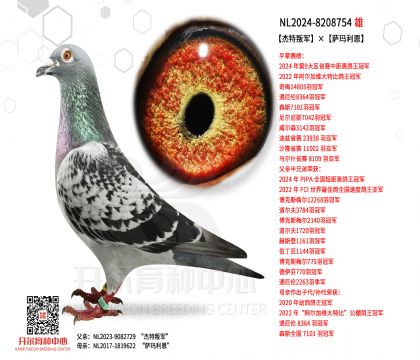 2����24-8208754