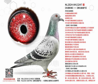 2.����NL2024-8413247ͼ