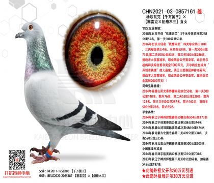 2.����15-0857161