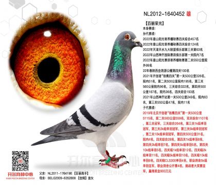 2����-1640452