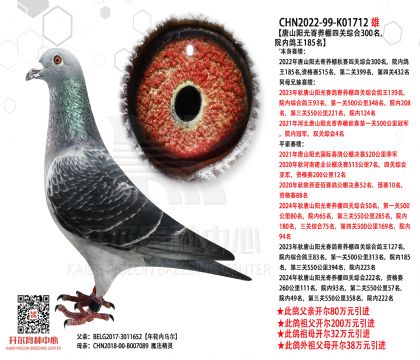 2.����-K01712