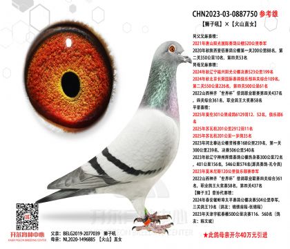 2����23-0887750