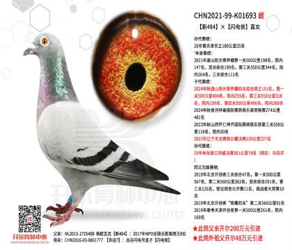 3ĸ��CHN2021-99-K01693