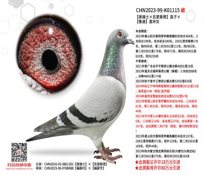 3ĸ��CHN2023-99-K01115