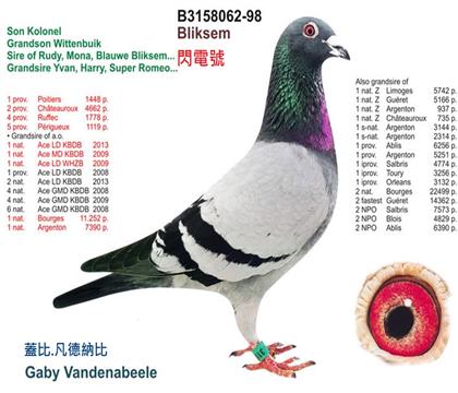 �Ǳ������