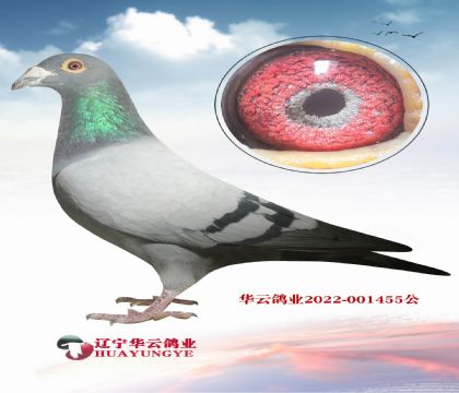 �����������ֹ� X��«����� ǧ��ƽ���� ֱ��Ů