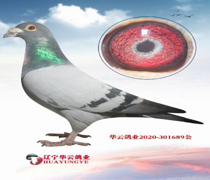 �ش�����ʦ�˵�����˹���ҵ�һ����740������Ѫ