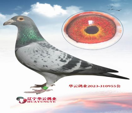 ���ƽ������ߡ�������������X��ĸ733