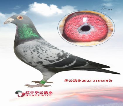 �����������9��Xǧ��������� ������Ʒϵ ����ס