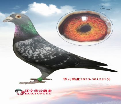 ������������ X��������ĸ��