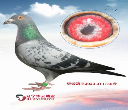 ��֪�� ���ڵ����������ж������