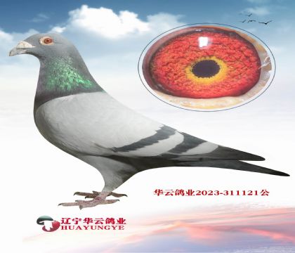 ƽ��������񽱳�30��  ���Գ������