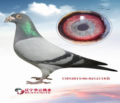 �����������ֹ�  ��������λ�� 10����