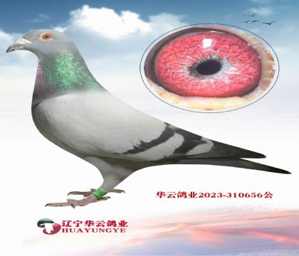 ���桰�ɸꡱ����ֱ��X����Ǳ�