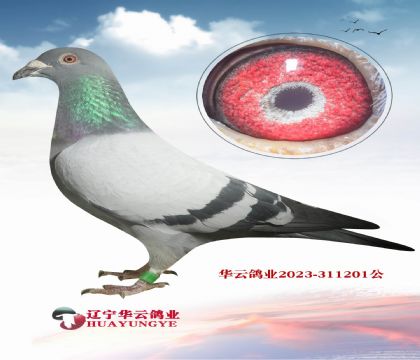 ��ɶ��ɶ�ĳ���Ѫϵ ���������ָ� �˵�����˹740